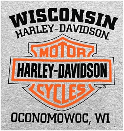 Мъжка риза на Harley-Davidson, тениска с дълъг ръкав Уили G Skull, Сив 30296651
