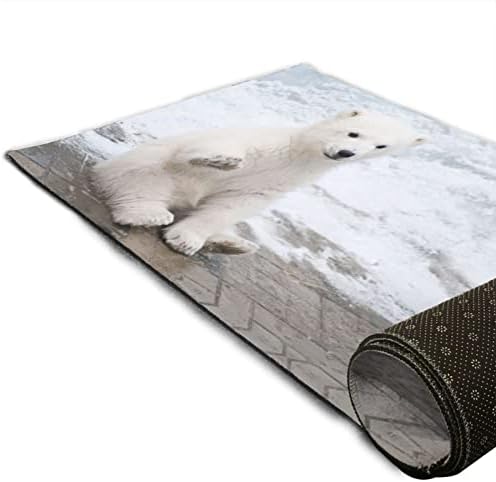 Taoqibao Polar Bear Yoga Mat Extra Thick Yoga Mat Eco Friendly Non Slip Fitness Exercise Mat for Professional Йога, Пилатес and Floor Exercises, 71L x 24W