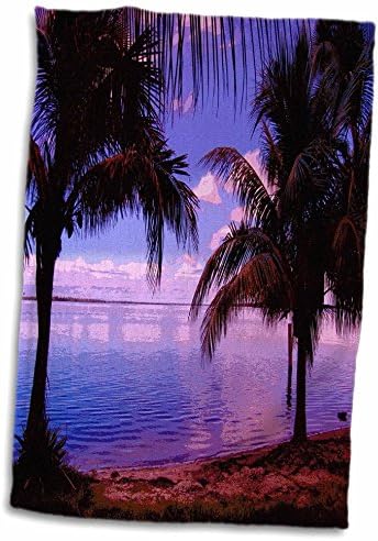 3D Розов Принт Сливовых палми Matlacha Florida TWL_204300_1 Кърпа, 15 x 22, Многоцветное