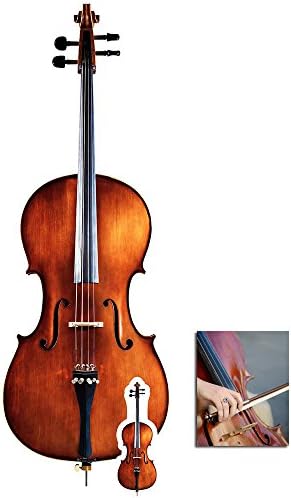 Fan Pack - Cello Musical Instrument Cardboard Cutout/Standee/Standup - Включва Снимка звезда 8x10