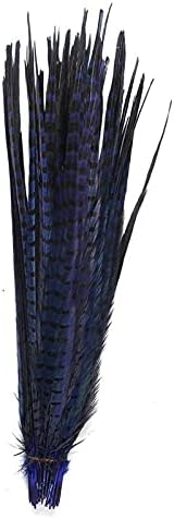 KAASILU ASFGH103 Пера от опашката на Фазан Ringneck за украса на 50-55 см 20-22 Carnaval Assesoires Цветни