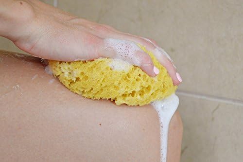 Evriholder Foam Body Sponge за Беля Голяма Скрубер за релаксиращ душ или вана, Опаковки от 2