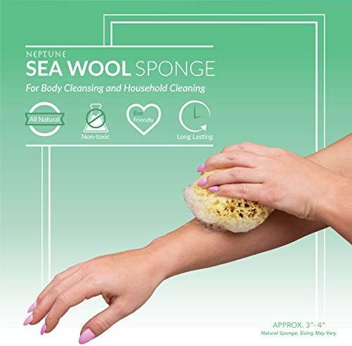 Neptune Natural Sea Wool Sponge - Изцяло Натурална Клетъчна Възобновяема морска гъба, Средна, прибл. 4 Инча