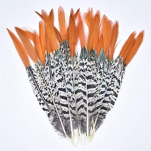 Jeniorr Natural Lady Amherst Phasant Feathers for Crafts 5-30 см/2-12 Feather Decor Занаятите Feathers Decoration